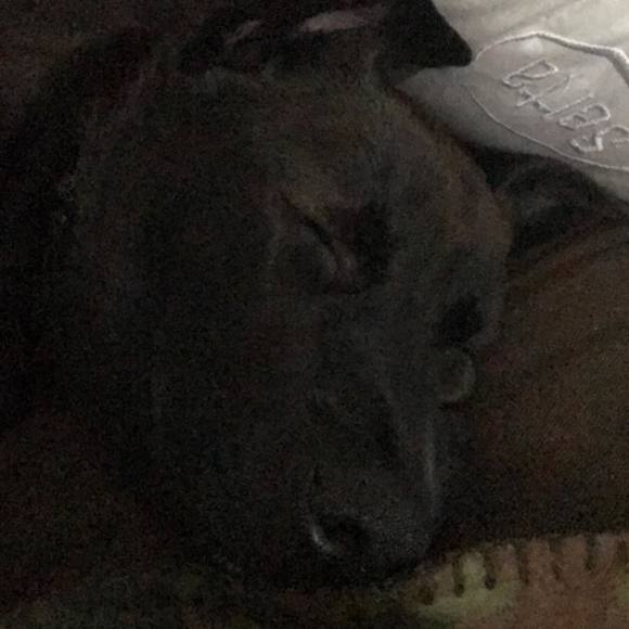 Meet your Posher, Andrew - Picture 1 of 1